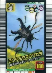 【中古】ムシキング 051[3D]：ミクラミヤマクワガタ