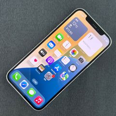 SIMロック解除済 iPhone 12 Pro 256GB シルバー MGMA3J/A ジャンク