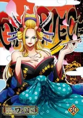 ONE PIECE ワンピース 20thシーズン ワノ国編 30(1010話～1013話)【アニメ 中古 DVD】レンタル落ち