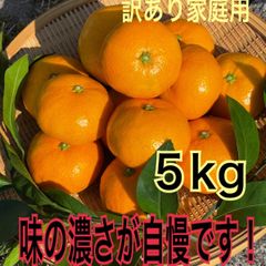 家庭用訳ありみかん５kg 甘酸っぱい福井県産