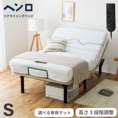 パラマウントベッド 電動 介護ベッド TS3060 プレグラーマットレス付き