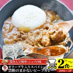 オリーブ牛入り ビーフカレー 200g×2食セット お肉屋さんが作った禁断のまかないビーフカレー メール便発送 レトルト 備蓄食 備蓄品