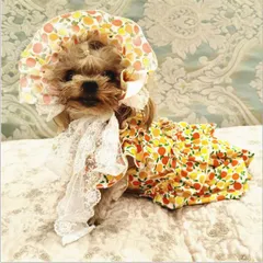 オレンジロリータドレス＆ブリム　犬 猫 ペット 犬服 犬の服 可愛い 人気 お揃い 小型犬 春 夏 冬 萌え系・ロリータ・コスプレ・ドレス・セットアップ　かわいい　姫系　フリル　ペア お揃い  犬服 rumor ルモール