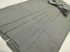 Item thumbnail for item b479b50a-ecd0-413c-abc9-04b2cec49ef1