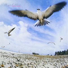 オリジナルNM極美盤)高中正義/SEYCHELLES 中古年代物帯つき美品 - メルカリ
