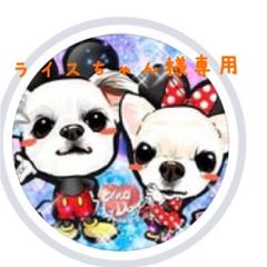 ライスちゃん様(チワワ)バレンタインリボンワンピースＸＳ