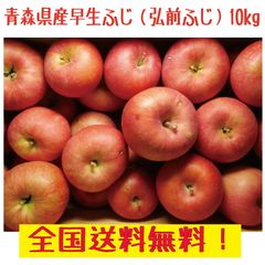 青森県産　弘前ふじ ご家庭用　24～50玉　　10kg 送料無料