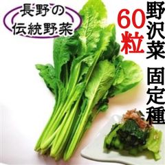 野沢菜の種【固定種】 長野伝統「日本3大漬け菜・野沢菜漬けに」 味も風味格別！