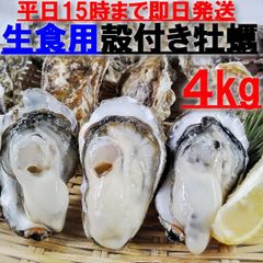 生食用 殻付き 牡蠣 ４ｋｇ（28~60粒）牡蠣 殻付き 牡蛎 牡蠣 殻付宮城県生食用牡蠣 牡蠣生食用 カキ 牡蛎 BBQ お花見 父の日 母の日 御歳暮 お中元 お歳暮 贈答品 kaki 松島牡蠣屋 漁師直送 かき バーベキュー 海産物 海鮮 貝類