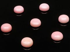 コンクシェルパーツ 10mm×3個 8mm×5個 コンクシェルパーツ 10mm×3個 8mm×5個 - メルカリ