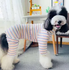 【ペット用】大型犬用　犬服　可愛い　マルチボーダー柄　つなぎ　ボディスーツ