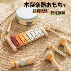 子供 楽器 おもちゃ モンテッソーリ 知育玩具 木のおもちゃ 音のなるおもちゃ 音楽会 鉄琴 ウッドブロック レインスティック 打楽器 聴覚訓練 音楽教育のサムネイル