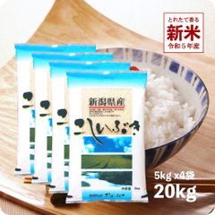 【200円OFFクーポン配布中】新米 新潟産こしいぶき20kg  お米 令和5年産 白米