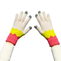 【新着商品】5本指 冬 防寒手袋 男女兼用 グローブ ニット おしゃれ通勤 タッチパネル対応 手袋 メンズ 通学 レディース [eipatu]