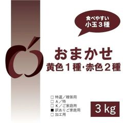 小玉3kgおまかせ詰合｜青森県産もったいない林檎