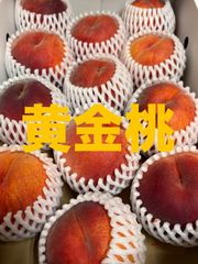 希少！黄金桃(滝の沢ゴールド)約3キロ　12玉　クール発送