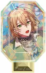 6/9まで出品】まほやく 1周年 アクリルスタンドパネル ミスラ ルチル
