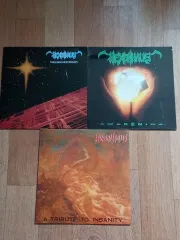 hexenhaus lp 収益クラス まとめ売り