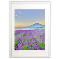 2025年最新】ラベンダー畑絵画の人気アイテム - メルカリ