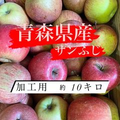青森県産りんご　サンふじ　加工用　約10キロ