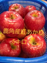 2025年最新】秋田紅あかりの人気アイテム - メルカリ