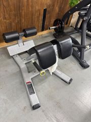 バックエクステンション   R