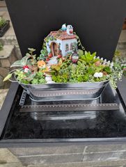 051701 わんちゃん 多肉植物 寄せ植え ミニ盆栽 多肉植物寄せ植え