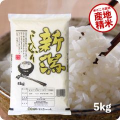 米 新潟県産コシヒカリ5kg お米 令和6年産 白米 送料無料（沖縄のぞく）