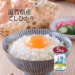 米 精米 滋賀県産 こしひかり 5kg 令和6年産 お米 白米 おくさま印 国産 食品 ギフト 引っ越し 挨拶 出産 内祝い 母の日 父の日 お中元 お歳暮 結婚 快気 還暦 香典返し 寒中 暑中見舞い お年賀 送料無料