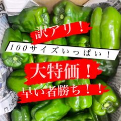 大特価！訳アリ　パリパリピーマン