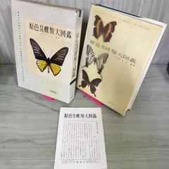 2025年最新】原色日本蝶類図鑑の人気アイテム - メルカリ