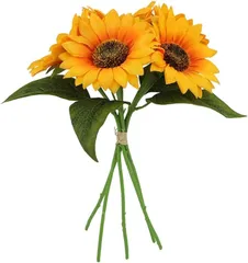 2026年最新】ヒマワリ 5 の人気アイテム - メルカリ