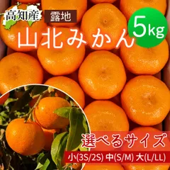 2025年最新】山北みかん 3sの人気アイテム - メルカリ