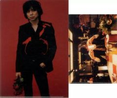 宮本浩次 ファーストソロツアー 宮本、独歩。 クリアファイルセット（2