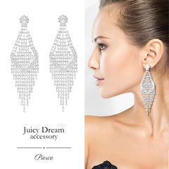 ロングピアス ドレス フィットネス コンテスト ビキニ ステージアクセサリー パーティ