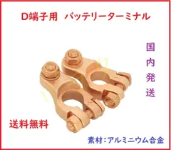 D端子用 自動車バッテリー端子 バッテリーターミナル コネクター 大ポール 12V/24V 2個セット