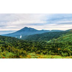 絵画風 壁紙ポスター (はがせるシール式) 初秋の八幡平から望む岩手山 奥羽山脈 日本百名山 絶景スポット キャラクロ M-OHU-001W2(ワイド版 603mm×376mm)＜日本製＞ ウォールステッカー お風呂ポスター