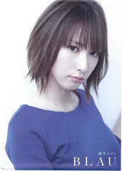Amazon.co.jp: 藍井エイル BLAU ソフマップ 特典ポスター