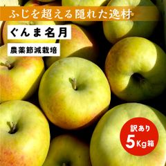 発送11月4日から12月23日まで りんご選びで失敗したくない方におすすめ！「ぐんま名月5キロ箱訳あり品」農林水産大臣賞  長野県産 安曇野 信州産 産地直送