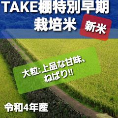 TAKEの棚田米5kg令和4年産新米特別栽培米