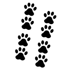 肉球 カッティング ステッカー ブラック 45mm 8個セット シール 足跡 犬 猫 かわいい キズ隠し 車 防水 丈夫 おしゃれ