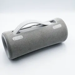 【！特別価格！】さらに【！専用ケース付き！】 ★SRS-XG300 グレー SRS-XG300 | アクティブスピーカー／ネックスピーカー | ソニー