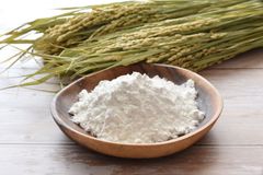 小麦粉（でんぷん）国産【小麦澱粉】浮粉 中華食材 中華物産 300g  無添加 浮き粉 うき粉 じん粉 小麦粉