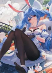 【中古】雑貨 [単品] 兎田ぺこら イラストボード 「一番くじ バーチャルYouTuber ホロライブ イラストボードセット」 ラストワン賞