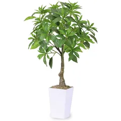 【新品】 アセビ 馬酔木 75cm 人工観葉植物 フェイクグリーン 観葉植物 造花 光触媒 消臭 抗菌 インテリア おしゃれ オフィス 室内 装飾