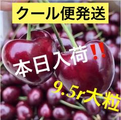 即日発送‼️ クール便‼️週末限定‼️アメリカンチェリー　さくらんぼ　箱込み1kg