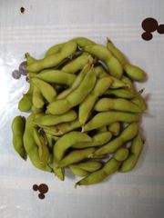 北海道産　枝豆