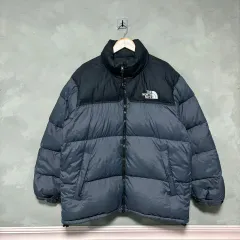 THE NORTH FACE(ザノースフェイス) Nuptse(ヌプシ) 800 グースダウン ダウンジャケット グレー 青