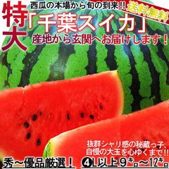 特大 スイカ 1玉入り 9～12kg 4L～6Lサイズ 贈答規格 千葉県産 秀品 富里・山武・成田など県内屈指の産地厳選！