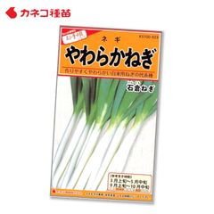 長ネギ 種 手軽に作れる 寒さに強い やわらかい 太く伸びる 根深葱 石倉ネギ 野菜の種 畑 カネコ種苗